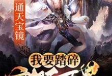 通天宝镜：我要踏碎诸天万界章节免费在线阅读，秦臻苏清完结版-经典文学