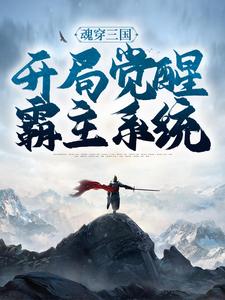 《魂穿三国，开局觉醒霸主系统》小说章节列表免费试读，高义吕玲绮小说在线阅读