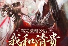 已完结小说《骂完渣相公后,我和清贵公子度春宵》在线章节阅读-经典文学
