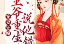 宠妻狂魔:王爷重生后说他错了这本小说怎么样?免费在线阅读试试-经典文学