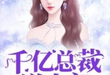 千亿总裁送上门小说的无弹窗阅读体验,寻找免费阅读网站-经典文学