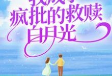 我成了疯批的救赎白月光苏沅兮容晏小说完结版章节在线阅读-经典文学