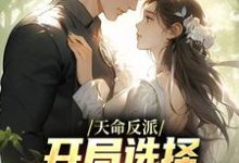 天命反派：开局选择威胁主角母亲曹昆小说完结版章节在线阅读-经典文学