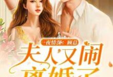 一夜情深:顾总,夫人又闹离婚了小说,一夜情深:顾总,夫人又闹离婚了免费阅读-经典文学