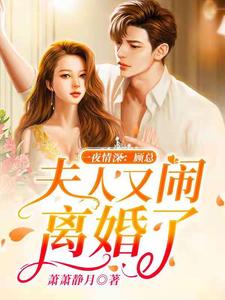 一夜情深：顾总，夫人又闹离婚了小说，一夜情深：顾总，夫人又闹离婚了免费阅读