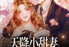 在线寻找天降小甜妻:偏执大佬抱着哄小说的无删减版本-经典文学