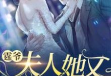 哪里可以免费找到霆爷,夫人她又轰动全城了?-经典文学