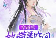 小说《穿越后，她带着空间去逃荒》在线章节阅读-经典文学