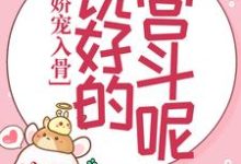 《娇宠入骨:说好的宫斗呢?》小说大结局免费试读 苏静翕宗政瑾小说-经典文学