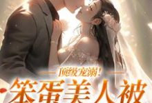 《诱哄暗撩!闺蜜小叔诱吻上瘾》小说章节列表免费试读,苏荔裴司夜小说在线阅读-经典文学