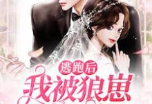 已完结小说《逃跑后，我被狼崽影帝反扑了》章节在线阅读-经典文学