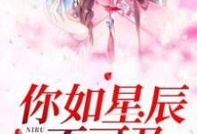完结版《你如星辰不可及》免费阅读-经典文学