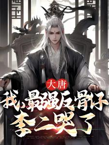 《大唐：我，最强反骨仔，李二哭了》小说章节列表免费试读，李天许灵儿小说在线阅读