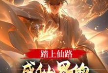 已完结小说《踏上仙路，成仙界的人族最强代表》章节免费阅读-经典文学