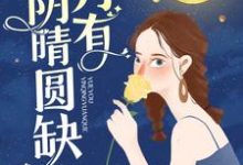 月有阴晴圆缺小说，月有阴晴圆缺在线阅读-经典文学