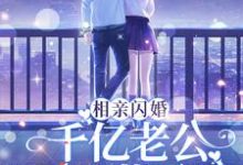 哪里能找到相亲闪婚:千亿老公天天藏马甲小说的最新更新和免费章节?-经典文学