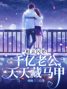 哪里能找到相亲闪婚：千亿老公天天藏马甲小说的最新更新和免费章节？