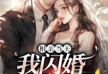 相亲当天：我闪婚亿万富豪小说阅读，相亲当天：我闪婚亿万富豪完结版-经典文学