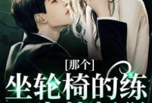求那个坐轮椅的练习生他超强小说的全文免费阅读链接-经典文学