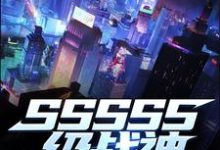 SSSSS级战神免费阅读，SSSSS级战神章节目录-经典文学