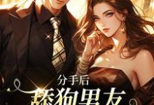 《分手后,舔狗男友成了绝世神豪》小说虞听晚江野章节章节免费在线阅读-经典文学