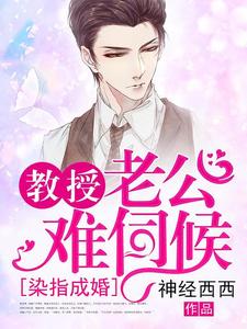 完结版《染指成婚，教授老公难伺候》章节阅读