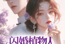 闪婚植物人首富后,她成了豪门团宠小说的免费阅读版本在哪里可以找到?-经典文学