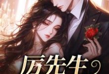 小说《厉先生你轻点宠》在线章节阅读-经典文学