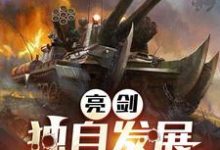 亮剑：独自发展，开局连升十级免费阅读，亮剑：独自发展，开局连升十级林旭-经典文学