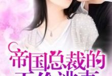 池安夏墨厉城小说帝国总裁的天价逃妻在线阅读章节-经典文学