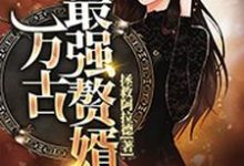 万古最强赘婿这本小说怎么样?免费在线阅读试试-经典文学