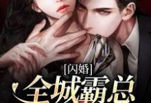 免费看闪婚：全城霸总一夜失恋小说的网站有哪些？-经典文学