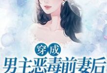 完结版《穿成男主恶毒前妻后,她每天洗白》免费阅读-经典文学