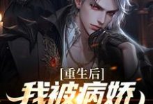 小说《重生后,我被病娇女霸气壁咚》在线章节阅读-经典文学