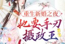 《重生新婚之夜,她要手刃摄政王》小说章节列表免费试读,宋音书萧御辞小说在线阅读-经典文学