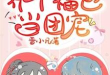 养个福包当团宠小说最新更新在哪里?免费在线看-经典文学