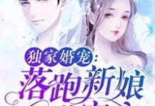 独家婚宠:落跑新娘甜蜜蜜这本小说怎么样?免费在线阅读试试-经典文学