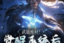 在线寻找武道废材?觉醒系统后我杀疯了小说的无删减版本-经典文学