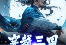穿越三国，貂蝉我先收了段羽段子翼小说大结局免费试读-经典文学