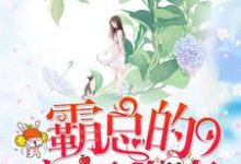 免费在线阅读霸总的空间甜妻小说的正规网站有哪些?-经典文学