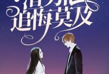 顶级豪门做娘家，渣男他追悔莫及陆安禾厉成扉小说完结版章节在线阅读-经典文学