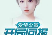 爱情公寓：开局回报诸葛大力最新章节，爱情公寓：开局回报诸葛大力免费阅读-经典文学