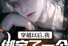 穿越以后，我绑定了一个弃子系统免费阅读，穿越以后，我绑定了一个弃子系统章节在线阅读-经典文学