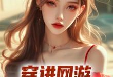 小说《穿进网游，娇妻等我来哄》章节免费阅读-经典文学
