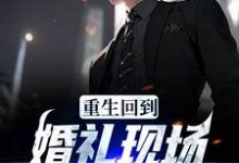 求重生回到婚礼现场,先解除婚约小说免费资源-经典文学
