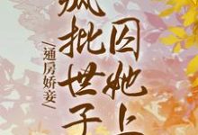 寻找能够免费阅读通房娇妾,疯批世子囚她上瘾小说的平台-经典文学