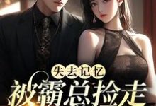 陆迟晚厉宴行小说在线章节免费阅读(失去记忆,被霸总捡走当女主无弹窗无删减)-经典文学
