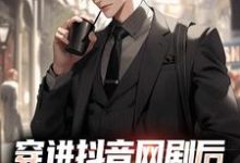 穿进抖音网剧后,我自带网购系统!小说的免费阅读版本在哪里可以找到?-经典文学