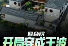 在线寻找四合院:开局穿成王波,拒绝白嫖小说的无删减版本-经典文学