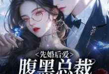 先婚后爱：腹黑总裁为她心狂跳最新章节，先婚后爱：腹黑总裁为她心狂跳免费阅读-经典文学